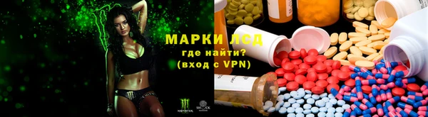 скорость Новозыбков