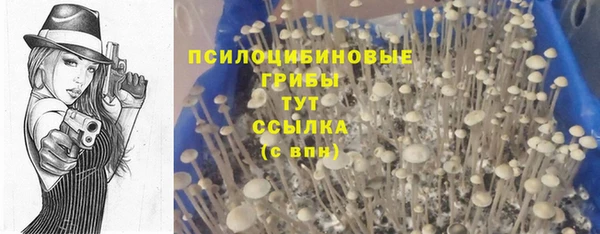 герыч Нязепетровск