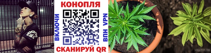 Каннабис гибрид Цоци-Юрт